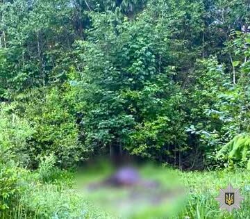 Вистрілив у коня: поліція Прикарпаття шукає зловмисника