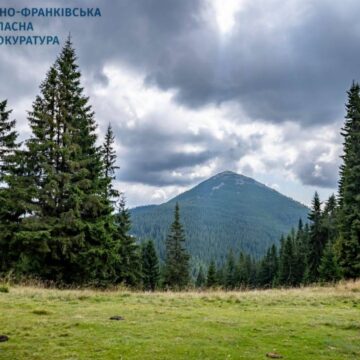 Землі Карпатського нацпарку, вартістю майже 500 млн грн, залишаться в державній власності