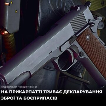 Понад 130 одиниць зброї та майже 4000 тисячі набоїв: на Прикарпатті триває кампанія з декларування зброї