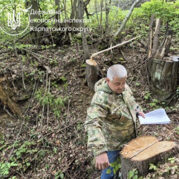 Понад 1,3 млн грн шкоди довкіллю: на Богородчанщині виявили незаконну вирубку лісу