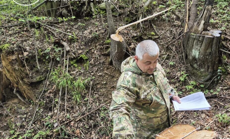 Понад 1,3 млн грн шкоди довкіллю: на Богородчанщині виявили незаконну вирубку лісу