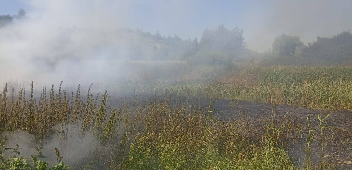 За пів року на території Калуського району вигоріло 300 га землі