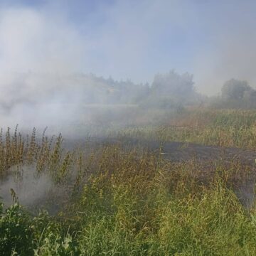 За пів року на території Калуського району вигоріло 300 га землі За пів року на території Калуського району вигоріло 300 га землі