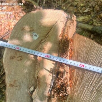 Спичинено шкоди довкіллю на понад 25 млн грн: на Прикарпатті судитимуть майстра лісу