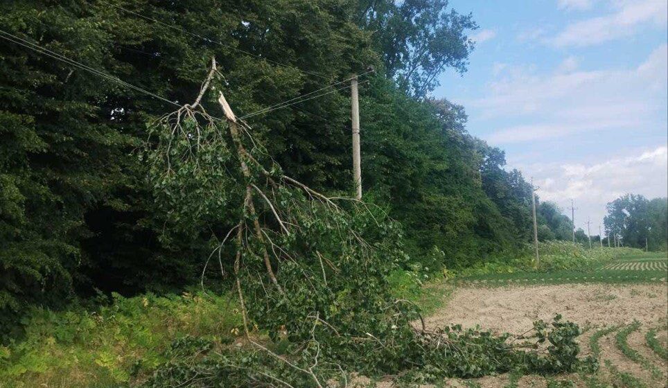 На Прикарпатті енергетики частково відновили електропостачання після буревію