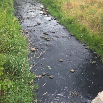 На Долинщині перевіряють забруднення річок Саджава та Свіча