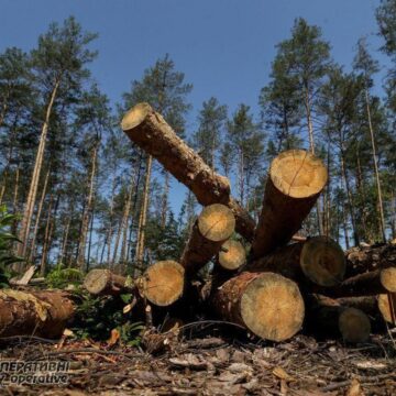 “Укрзалізниця” відшкодувала майже 1 млн грн Снятинській громаді через зрубані дерева