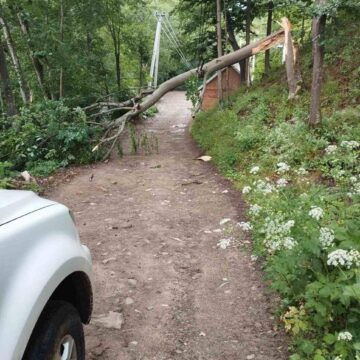 Другий день негоди на Прикарпатті: без світла 41 населений пункт Другий день негоди на Прикарпатті: без світла 41 населений пункт