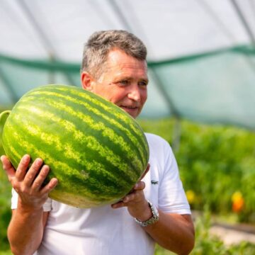 Не гірші за херсонські: фермерське господарство у Чукалівці вирощує кавуни