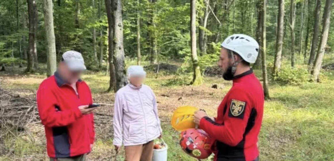 На Прикарпатті рятувальники розшукали заблукалих грибників