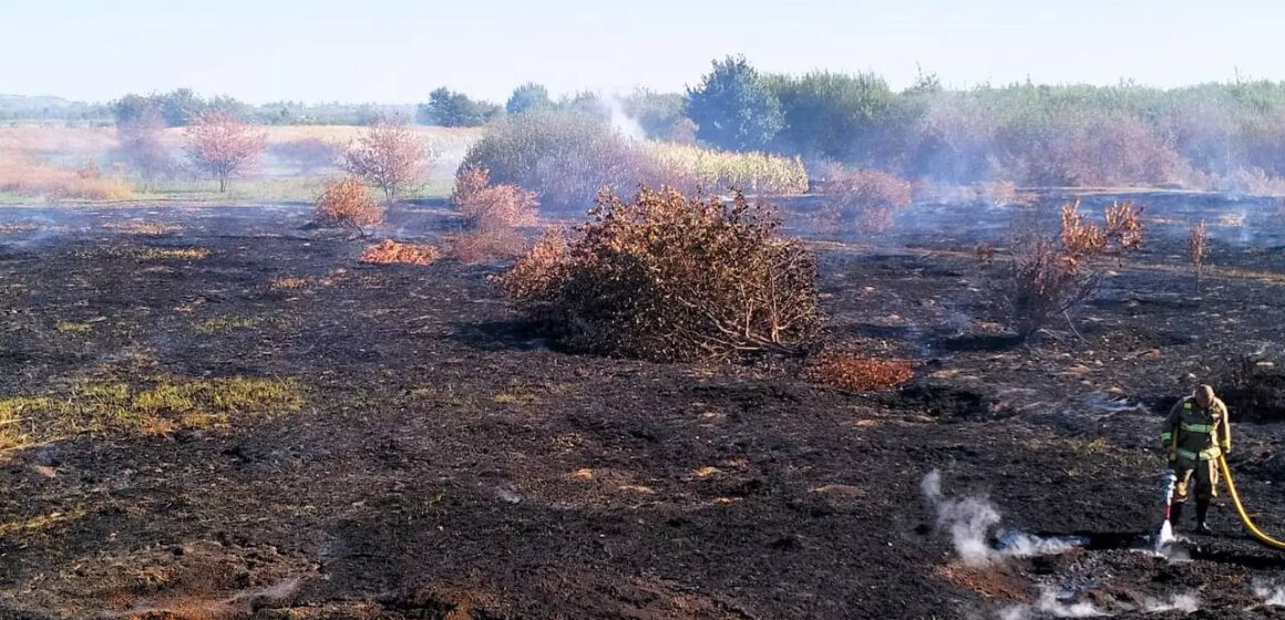 Вогнеборці ліквідували пожежу торфу в Рогатинській громаді