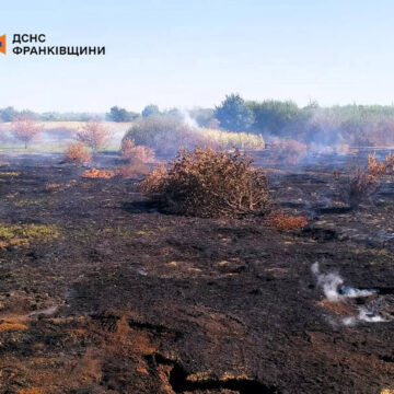 Вогнеборці ліквідували пожежу торфу в Рогатинській громаді
