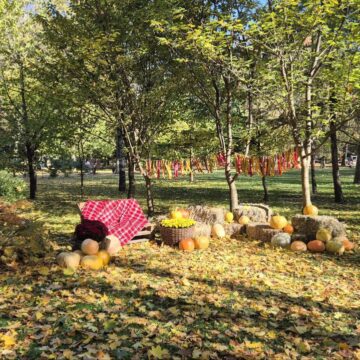 У парку Івано-Франківська облаштували атмосферну осінню фотозону (ФОТО)