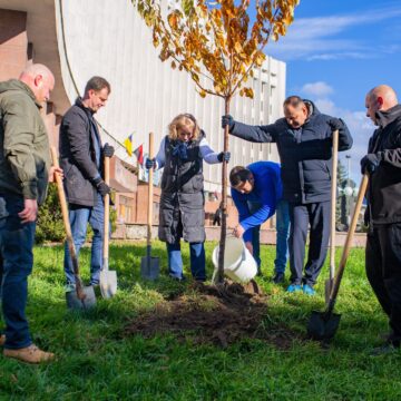 В Івано-Франківську представники влади міста та прифронтових територій разом посадили сакури