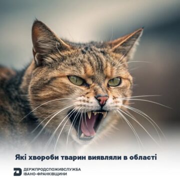 За 9 місяців 220 позитивних результатів: які хвороби тварин виявляли в області
