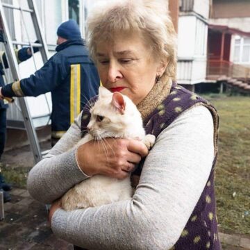 У Калуші рятувальники прийшли на допомогу кішці, яка випала з вікна п’ятого поверху