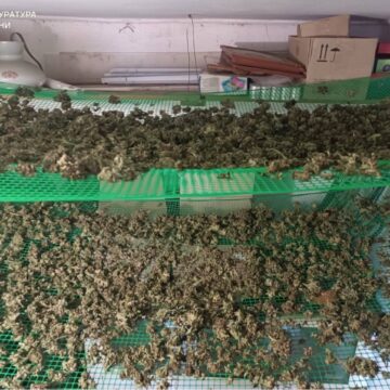 На Коломийщині затримали двох наркоторговців На Коломийщині затримали двох наркоторговців