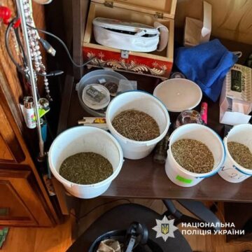 Виїхали на домашнє насильство і виявили наркотики: прикарпатські поліцейські викрили зловмисника