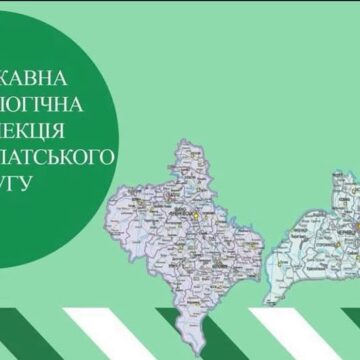 Держекоінспекція вимагає впровадити у Рожнятівській громаді роздільне збирання твердих побутових відходів