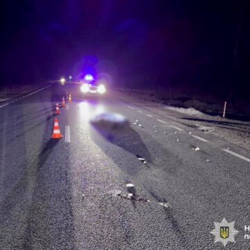 Поліцейські Надвірнянщини затримали водія, який збив на смерть 56-річного чоловіка (ФОТО)