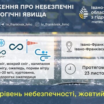 Значний сніг, ожеледь, хуртовина: прогноз погоди на неділю, 23 листопада