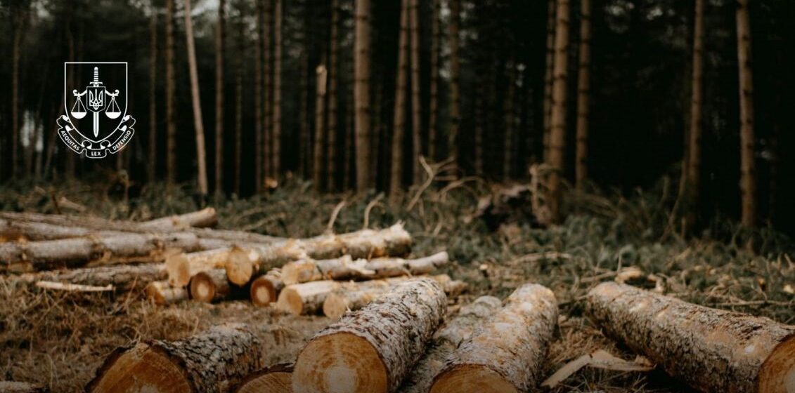 Під Буковелем вивели з держвласності 6 га лісу: викрито трьох осіб Під Буковелем вивели з держвласності 6 га лісу: викрито трьох осіб