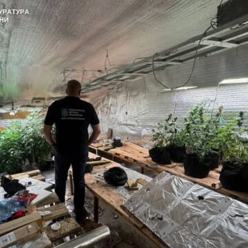 На Івано-Франківщині припинено масштабний збут та вирощування психотропів