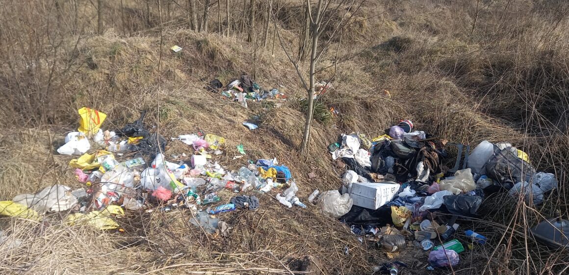 У Бурштинській громаді на залізничній смузі виявлено стихійне сміттєзвалище (ФОТО)
