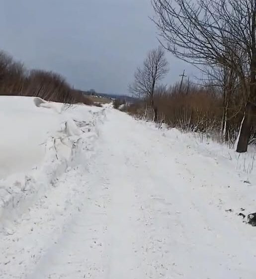 Снігові перемети знову заблокували частину доріг у Городенківській та Чернелицькій громадах