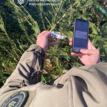 Новорічні ялинки без “чорної вирубки”: Держекоінспекція Карпатського округу перевірила  торгові точки в Івано-Франківську