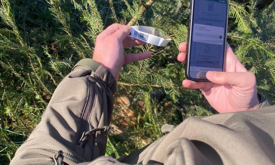 Новорічні ялинки без “чорної вирубки”: Держекоінспекція Карпатського округу перевірила  торгові точки в Івано-Франківську