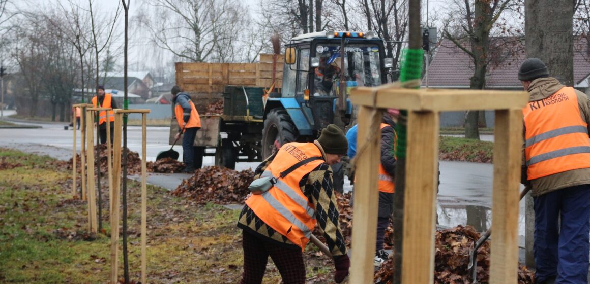 Молоді липи, кілька видів кленів та декоративні сливи: у Коломиї висадили 53 дерева