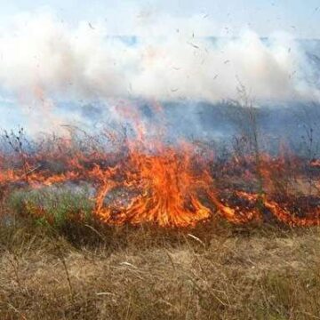 На Рожнятівщині рятувальники ліквідували масштабну пожежу сухої трави