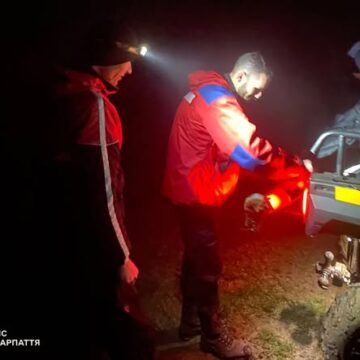 36-річна туристка з Франківщини не могла самостійно рухатись і потребувала допомоги рятувальників Закарпаття