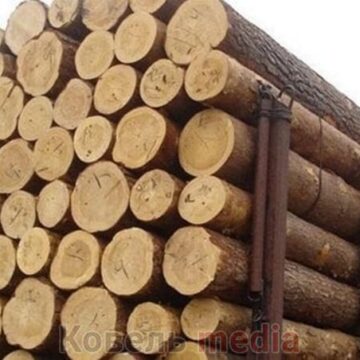 У Долині батька та сина засудили за спробу контрабанди дуба