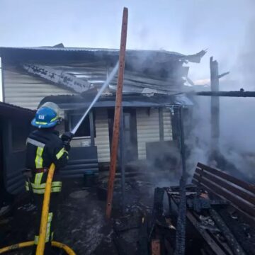 В пожежі на Надвірнянщині загинули свійські тварини