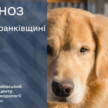 Туман, сніг та дощ: прогноз погоди на 25 січня 2026 року