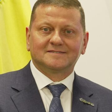 Що не так із мобілізацією? Залужний на роковини війни дав пояснення Що не так із мобілізацією? Залужний на роковини війни дав пояснення