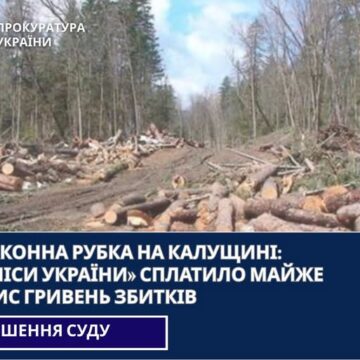 Незаконна рубка на Калущині:  ДП «Ліси України» сплатило майже 280 тис гривень збитків