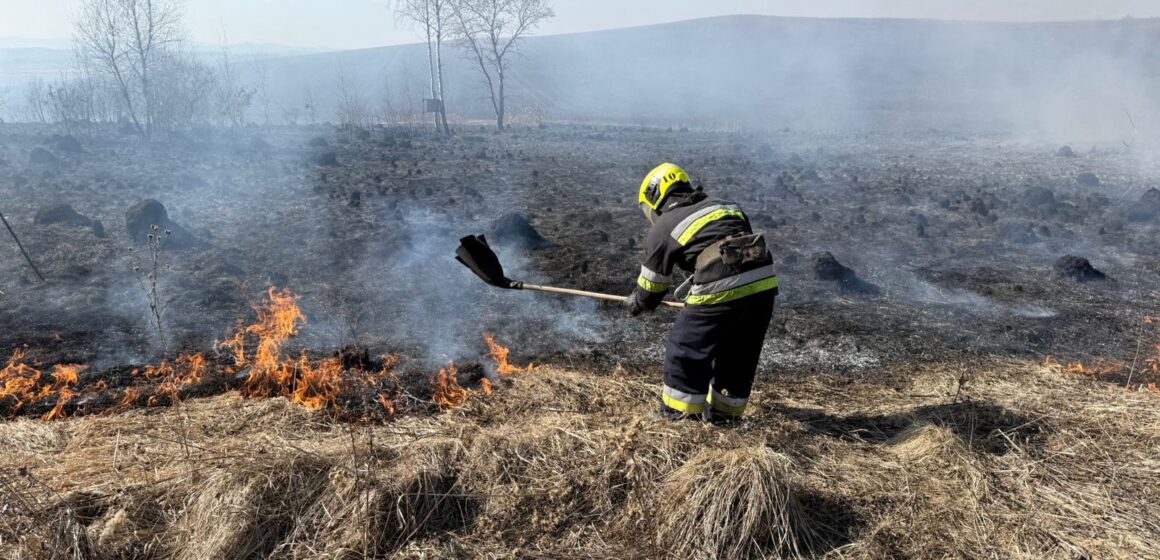 66 пожеж влаштували палії трави за добу на Прикарпатті