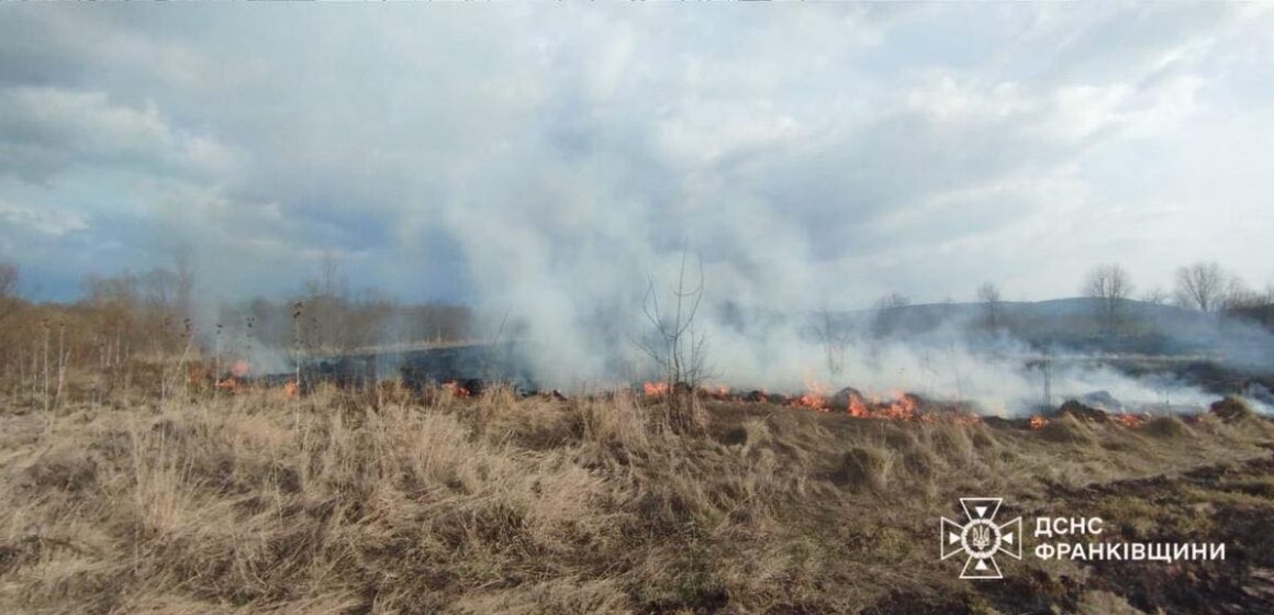 На Прикарпатті за минулу добу палії сухої трави спричинили 32 пожежі, двох порушників притягуто до відповідальності На Прикарпатті за минулу добу палії сухої трави спричинили 32 пожежі, двох порушників притягуто до відповідальності