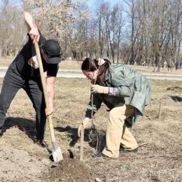 У День добровольця висадили нові дерева на Алеї добровольців у Коломиї У День добровольця висадили нові дерева на Алеї добровольців у Коломиї