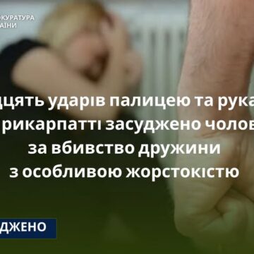 Тридцять ударів палицею та руками:  на Прикарпатті засуджено чоловіка за вбивство дружини з особливою жорстокістю
