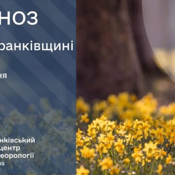 Сніг і дощ: прогноз погоди на 19 березня 2026 року