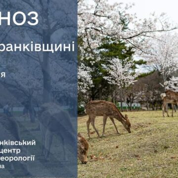 Прогноз погоди на 25 березня 2026 року