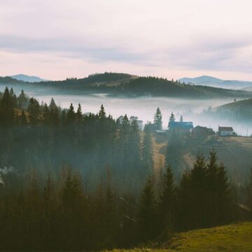 Столітній ліс біля Буковелю хотіли забудувати: прокуратура повернула 20 ділянок державі Столітній ліс біля Буковелю хотіли забудувати: прокуратура повернула 20 ділянок державі