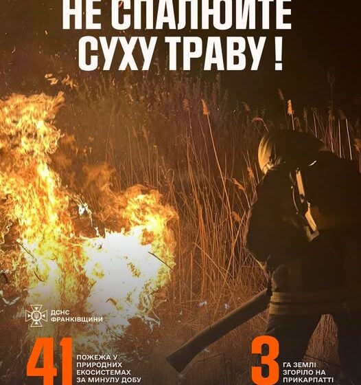 За добу на Прикарпатті вигоріло 3 гектари землі, 4 особи притягнуто до відповідальності