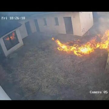 На Тисмениччині через підпал сухої трави вогонь швидко перекинувся на подвір’я На Тисмениччині через підпал сухої трави вогонь швидко перекинувся на подвір’я