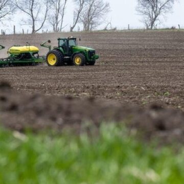 Аграрії Івано-Франківщини вже засіяли 7 тисяч гектарів