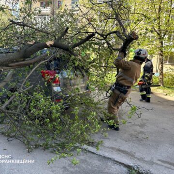 Пошкоджено покрівлі і автомобіль: наслідки негоди на Прикарпатті